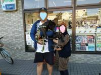 フレンチブルドック