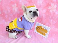 フレンチブルドック