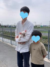 フレンチブルドック