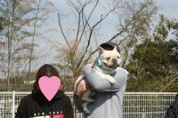 フレンチブルドック