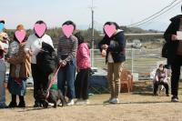 フレンチブルドック