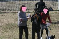 フレンチブルドック