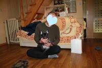 フレンチブルドック