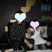 フレンチブルドック