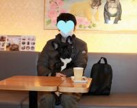 フレンチブルドック