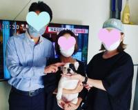 フレンチブルドック