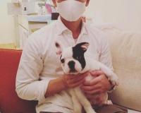 フレンチブルドック