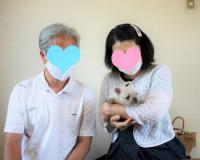 フレンチブルドック