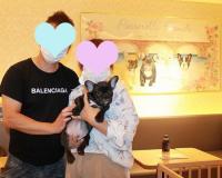 フレンチブルドック