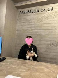 ミニチュア・アメリカン・シェパード